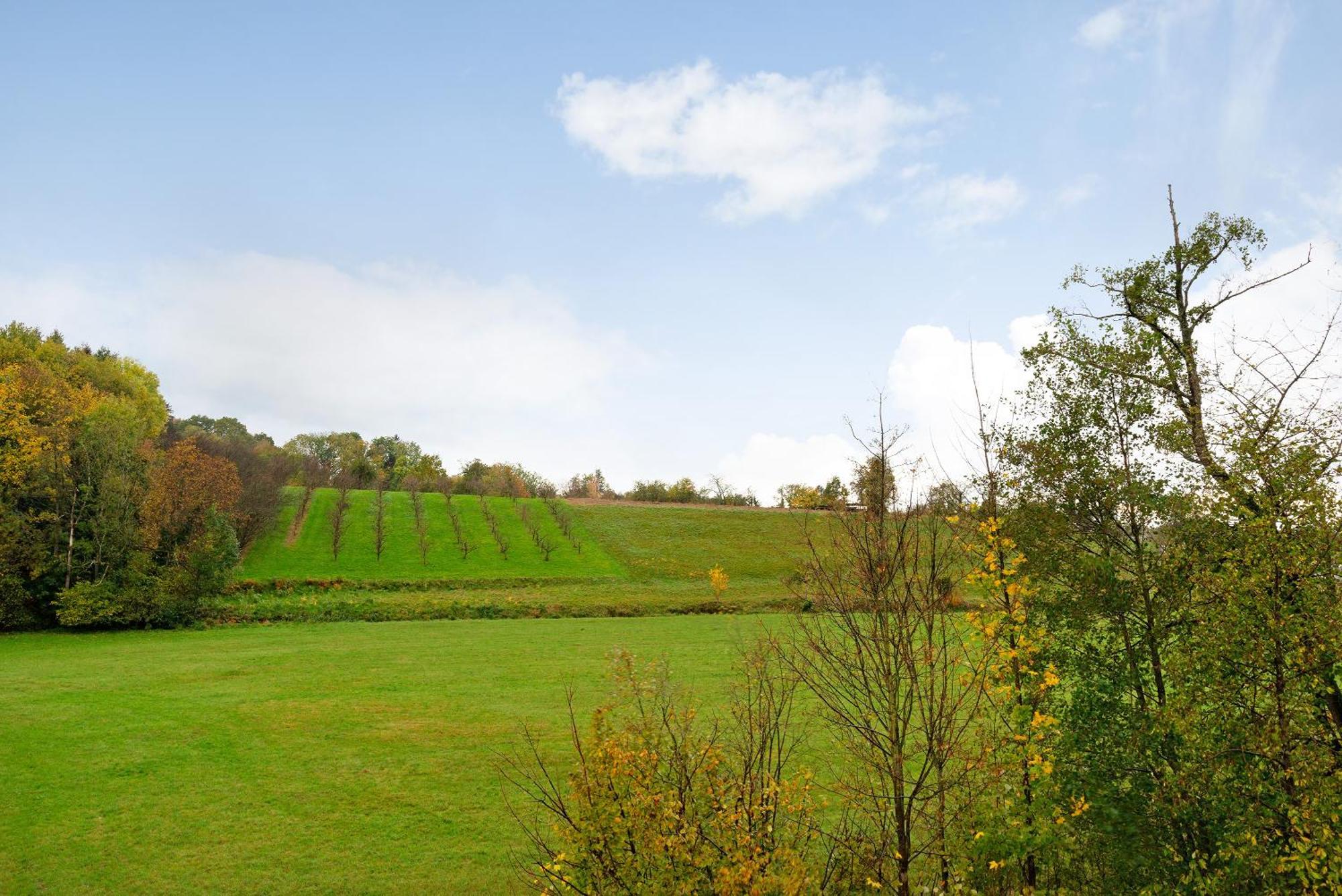 Schwarzwaldtani - Doerfle Apartment *